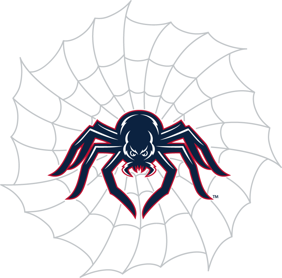 Richmond Spiders 2002-2012 Secondary Logo v2 diy iron on heat transfer